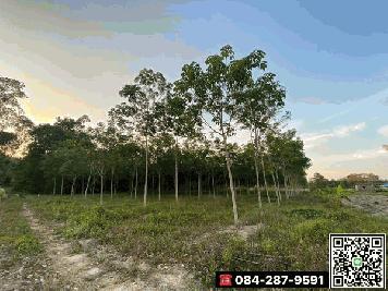 ขายที่ดิน 1ไร่ 3งาน 67ตรว. ต.แม่น้ำคู้ อ.ปลวกแดง จ.ระยอง โฉนดครุฑแดง